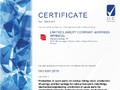 Certificate ISO 9001 Express Springs_page-0001